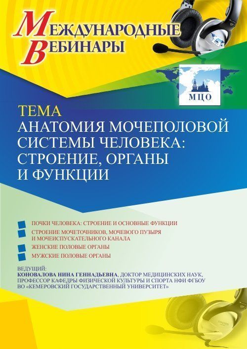Международный вебинар «Анатомия мочеполовой системы человека: строение, органы и функции» - изображение № 1