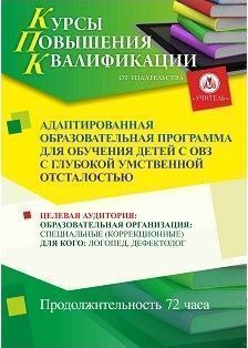 Адаптированная образовательная программа для обучения детей с ОВЗ с глубокой умственной отсталостью (72 ч.) - изображение № 1