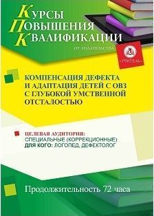 Компенсация дефекта и адаптация детей с ОВЗ с глубокой умственной отсталостью (72 ч.) - изображение № 1