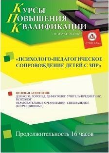Психолого-педагогическое сопровождение детей с ЗПР (16 ч.) - изображение № 1