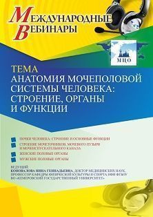 Международный вебинар «Анатомия мочеполовой системы человека: строение, органы и функции» - изображение № 1