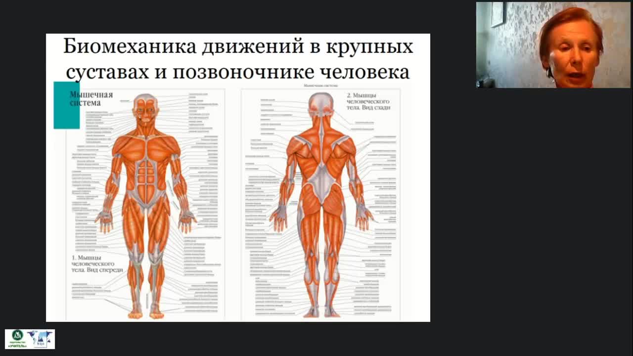 Международный вебинар «Общие правила организации движений ослабленных и парализованных пациентов» - изображение № 4